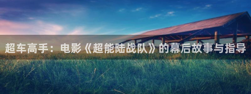 茄子视频了