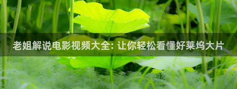 樱桃茄子视频