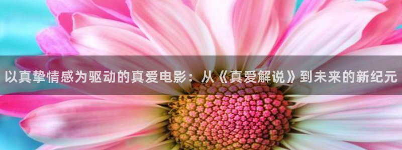 茄子视频 magnet