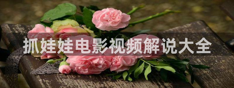 大茄子视频