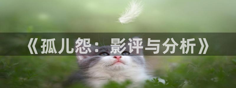 丝瓜茄子视频在线观看