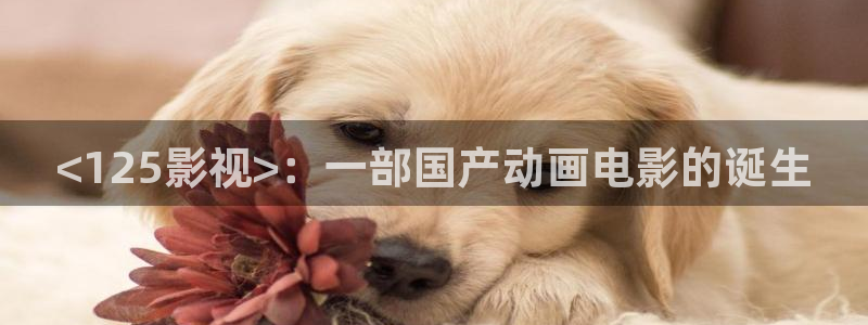 小优视频茄子视频