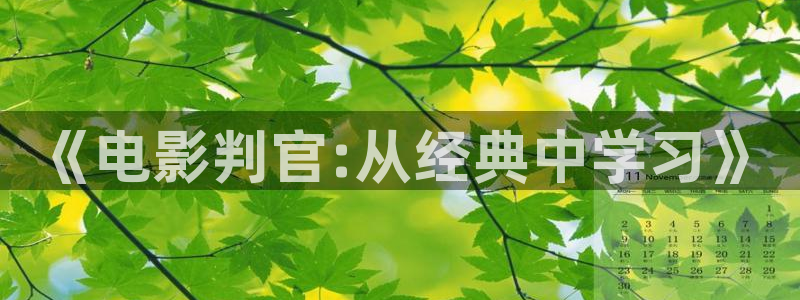 茄子视频一