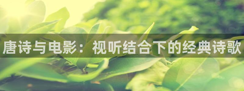 茄子视频