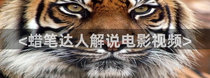 丝瓜茄子视频在线观看