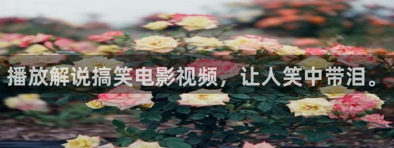 茄子视频无限看丝瓜视频丝瓜视免费观看