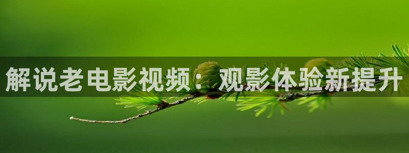 茄子视频qz