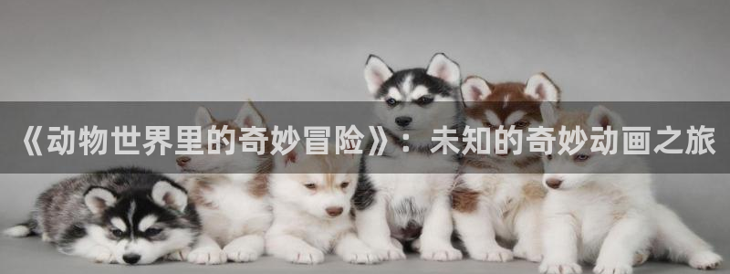 茄子视频色版