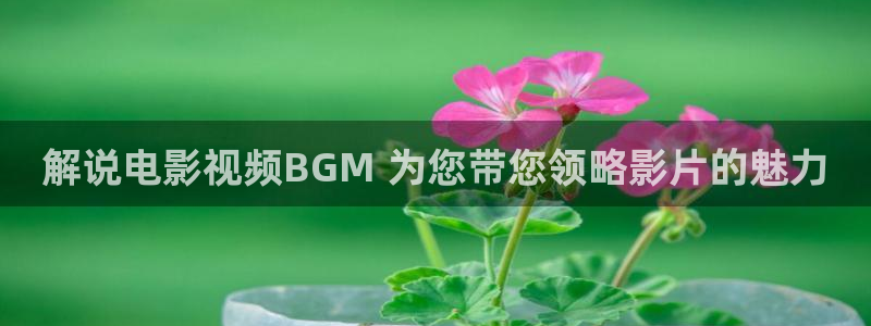 91茄子视频