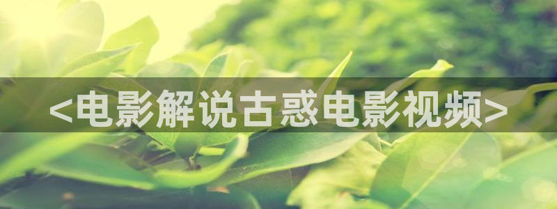 茄子视频