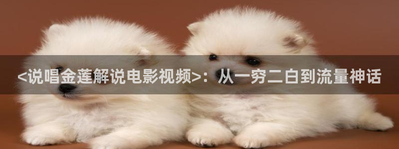 大茄子视频