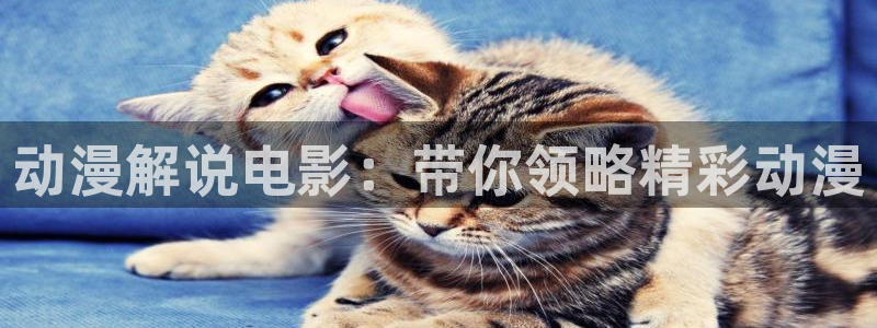 91茄子视频