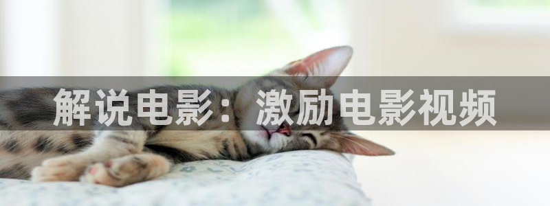 茄子视频qz