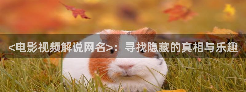 茄子视频