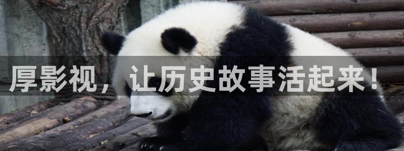 91茄子视频