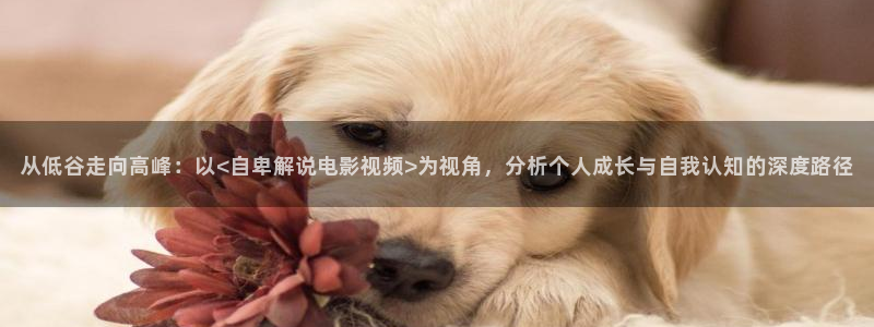 茄子视频视频