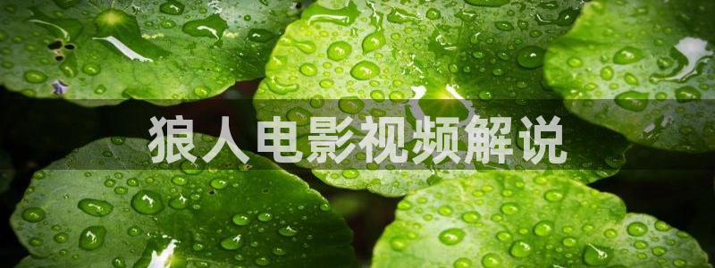 樱桃茄子视频