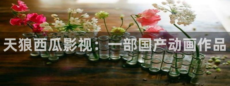 91茄子视频