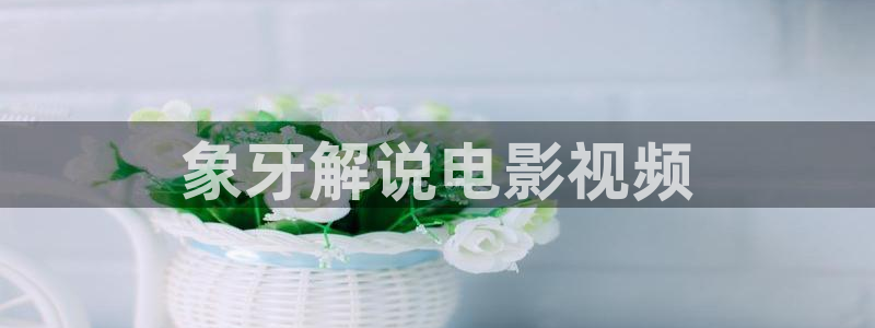 茄子视频色版