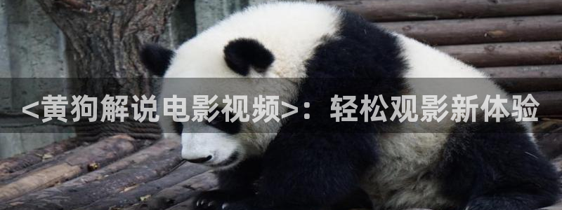 qiezi 茄子视频