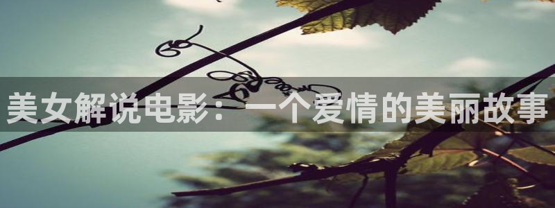 茄子视频