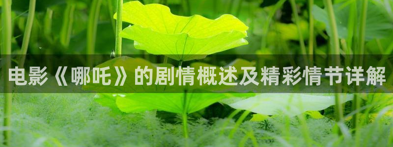 四虎茄子视频