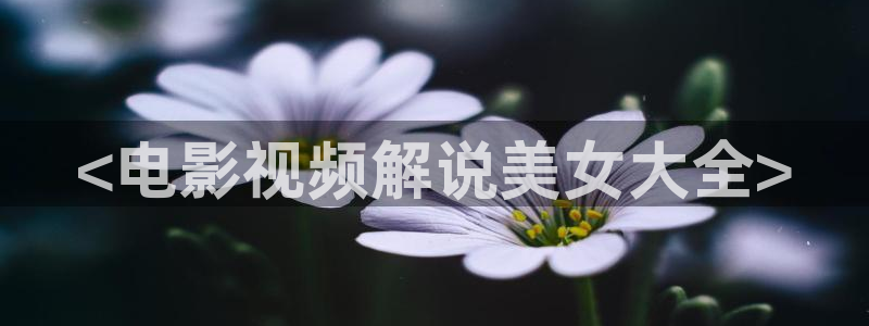 91茄子视频