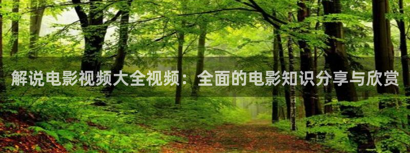 茄子视频18