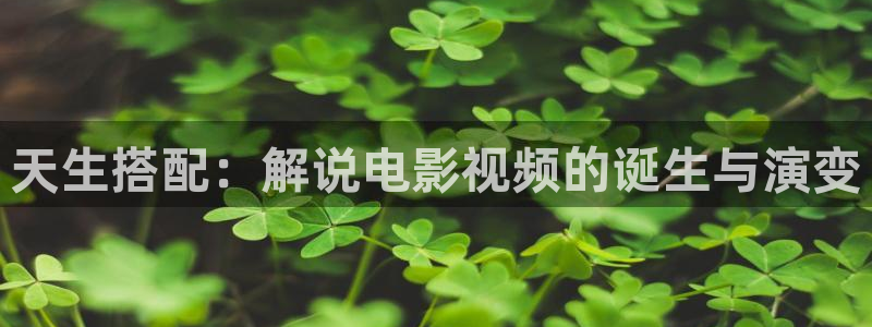 茄子视频www