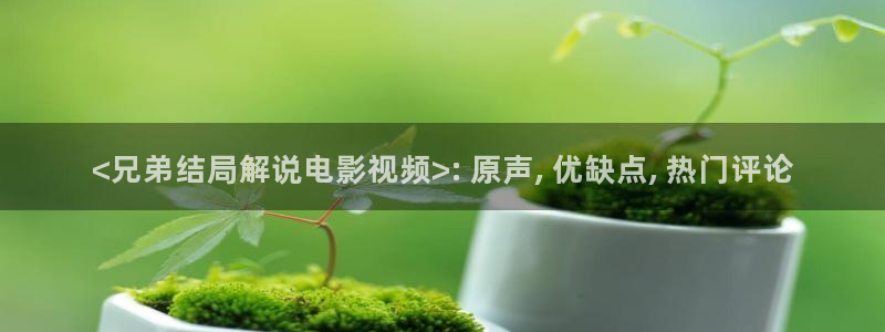 茄子视频色版
